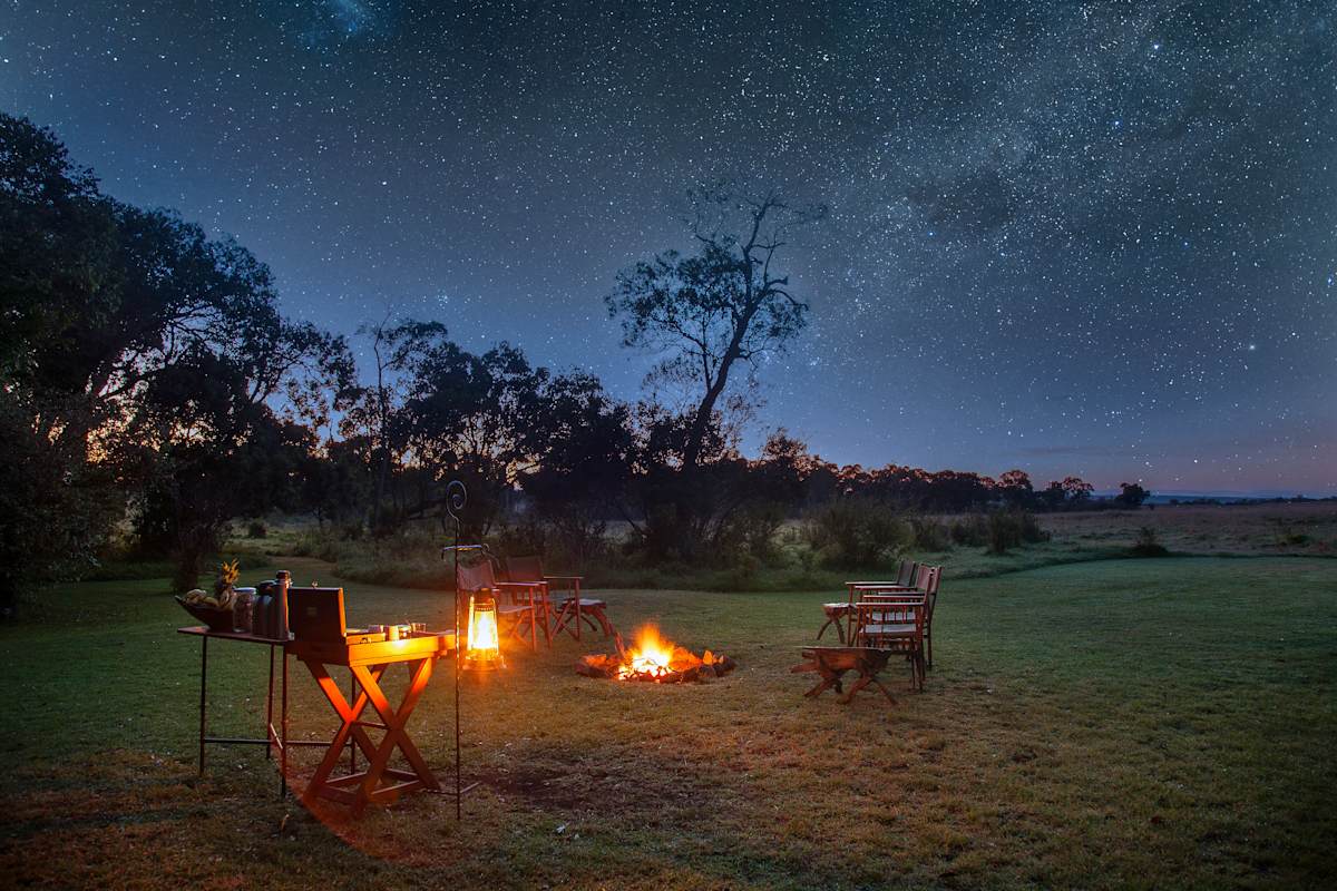 Ultimate Kenya Safari: Rare Species & Starry Nights photo 3