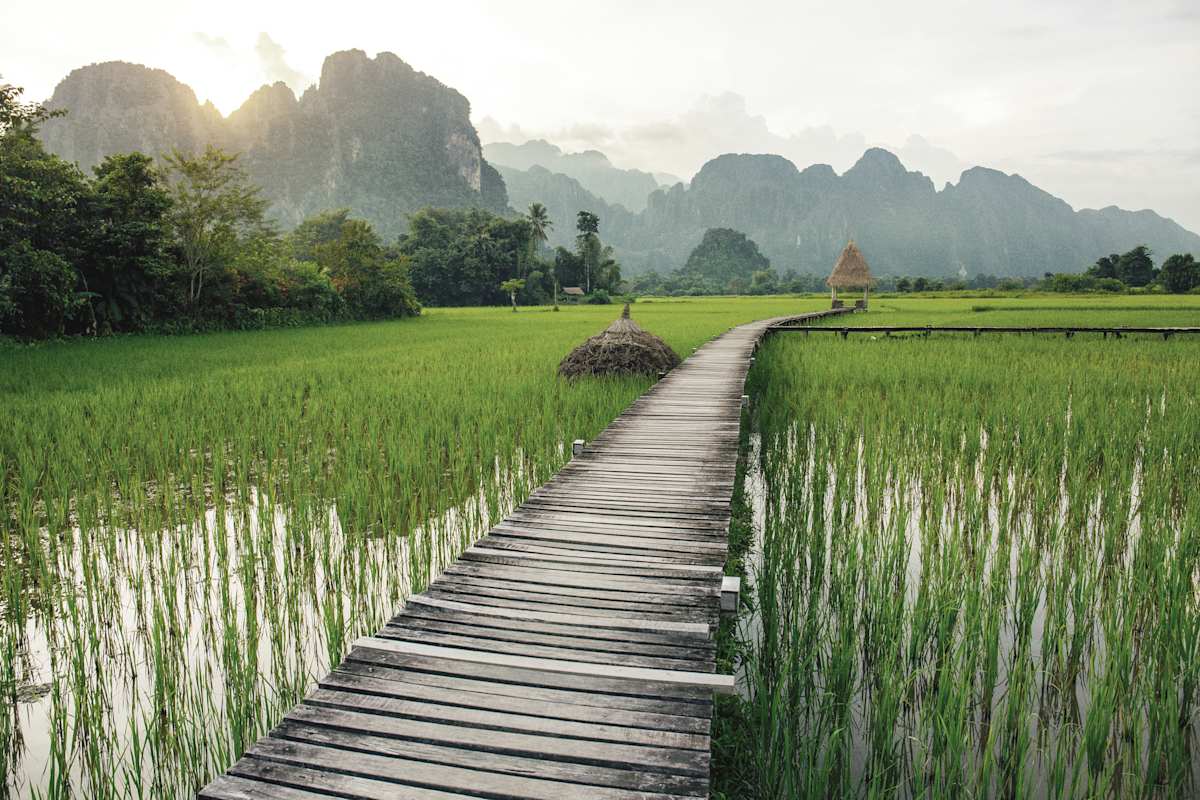 Laos Signature photo 5