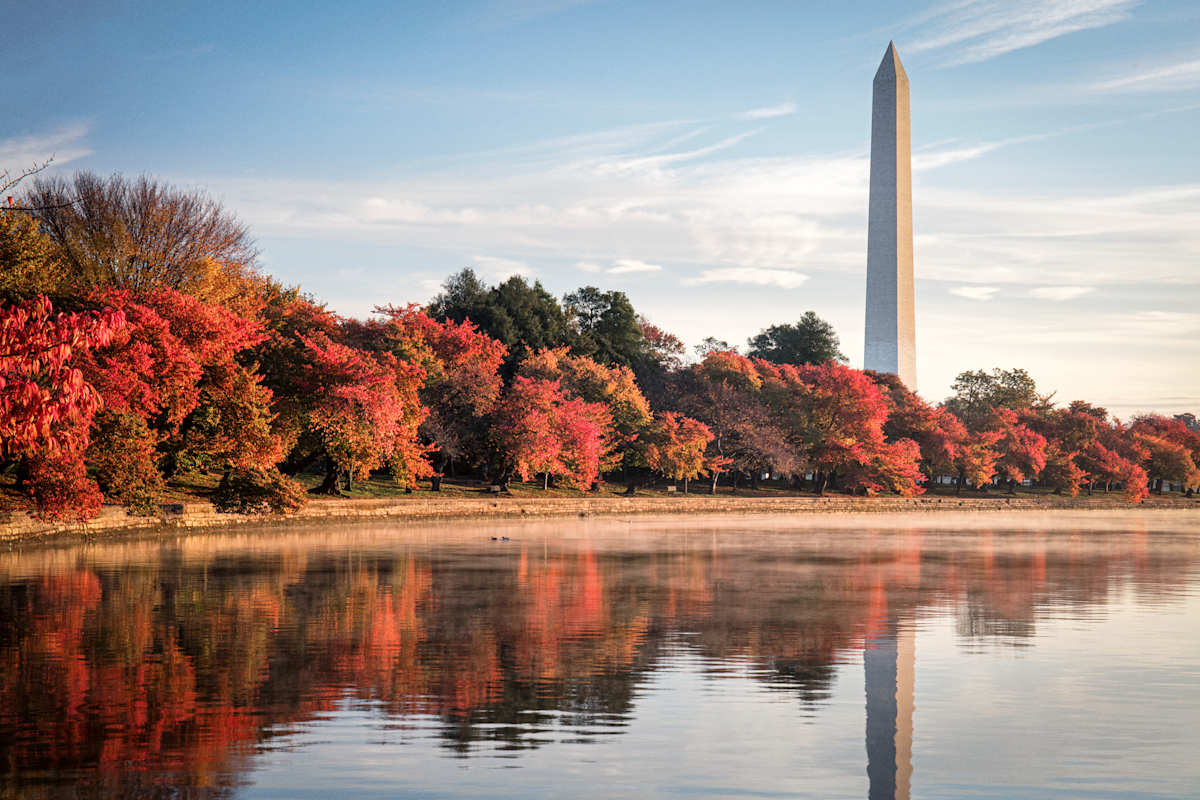 Discover New York City & Washington D.C. In Luxury photo 1