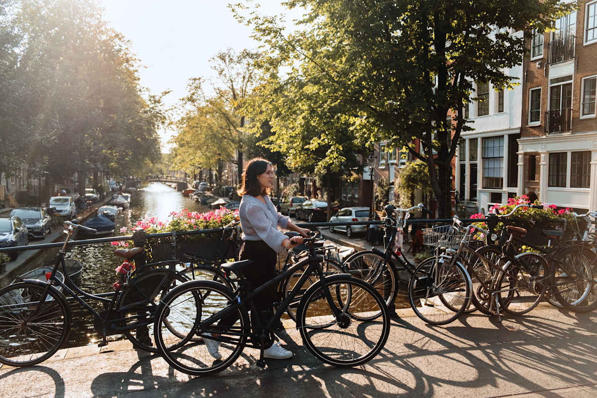 Amsterdam Spotlight photo 1