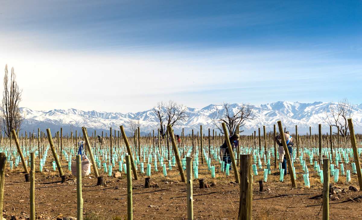 Ski & Savor Argentina: Andes Slopes & Mendoza Wines photo 3