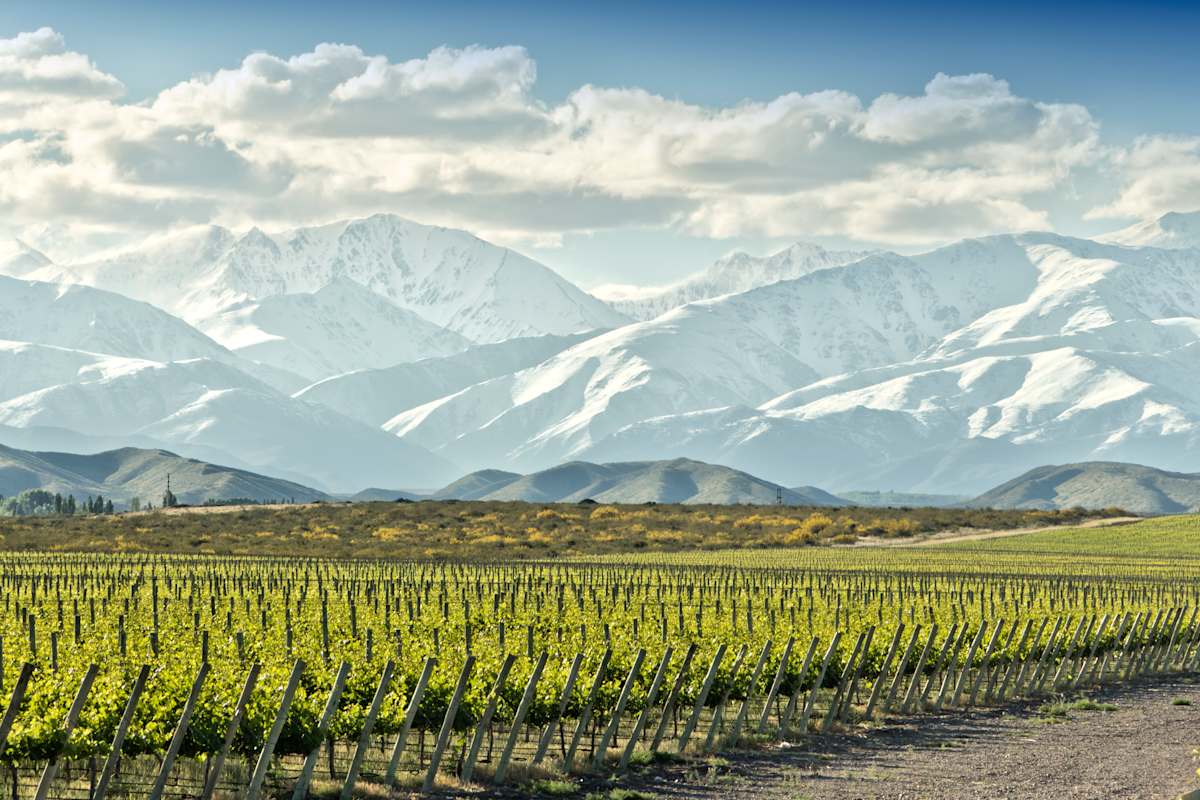 Chilean Valleys & Malbecs of Mendoza photo 7