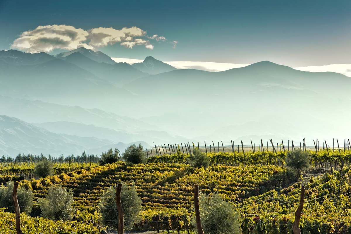 Chilean Valleys & Malbecs of Mendoza photo 6