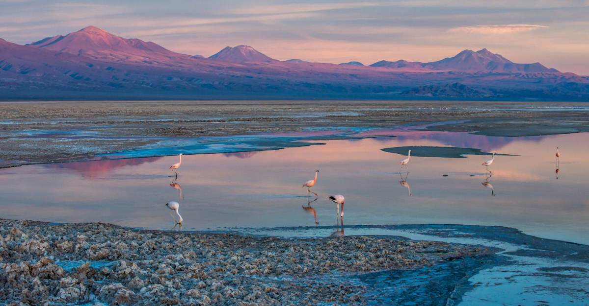 Ski Portillo & Discover Atacama: Peaks to Desert photo 4
