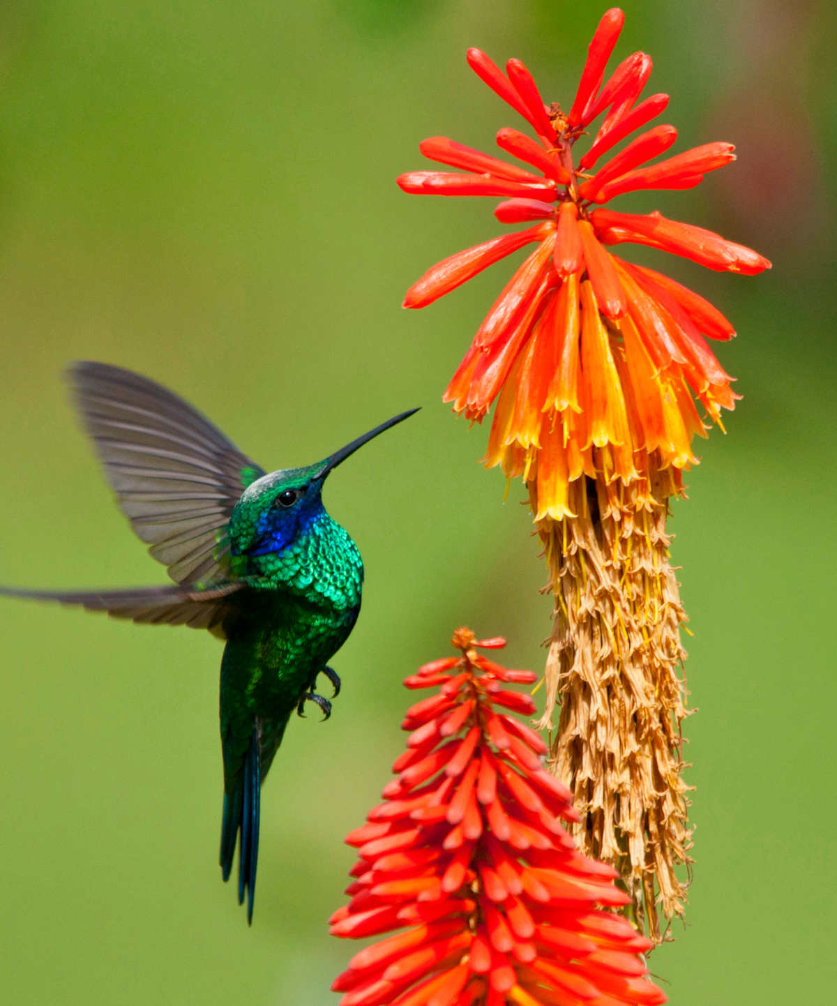 Enchanted Colombia photo 2