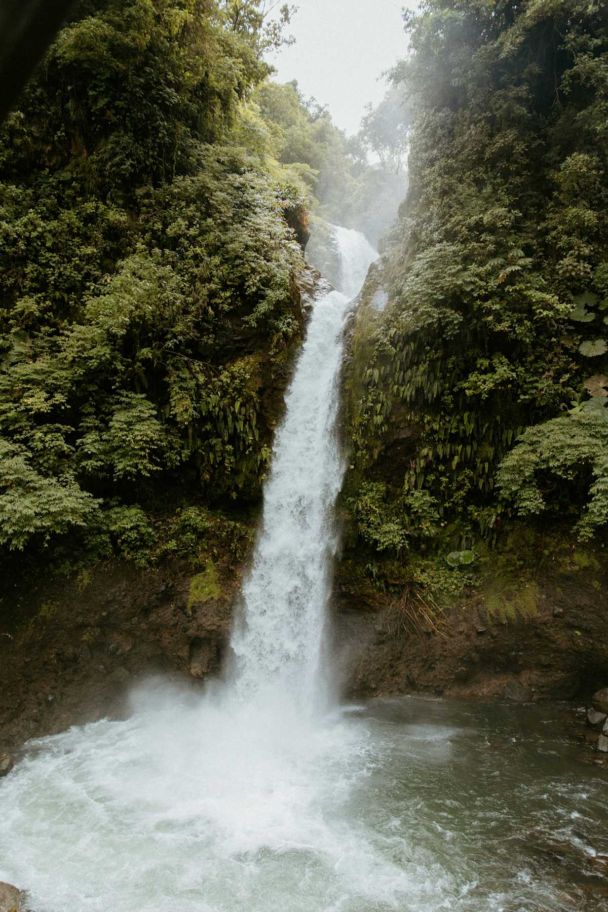 Costa Rica Active Adventure photo 5