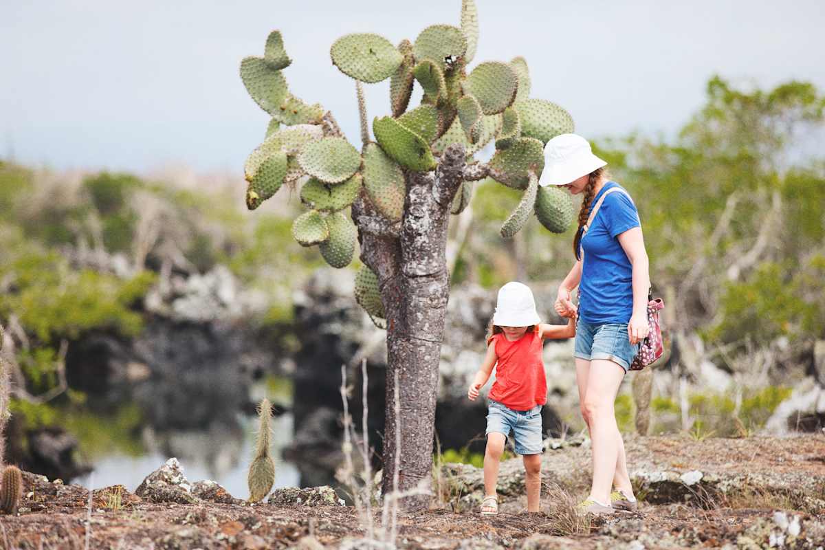 Galapagos Family Cruise: Wildlife & Water Adventures photo 1
