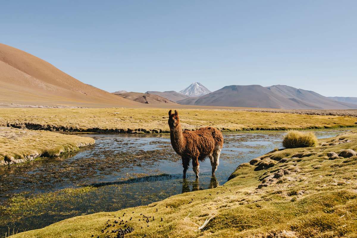 Peru's Andean Canyons & Remote Tented Camps photo 2