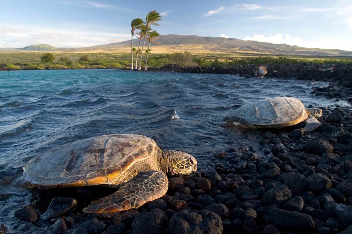 Essential Hawaii: Oahu & Kauai photo 5