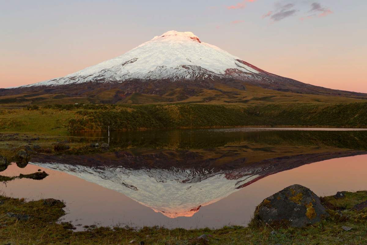 Ecuador's Wild Wonders: Peaks to Cloud Forest photo 5