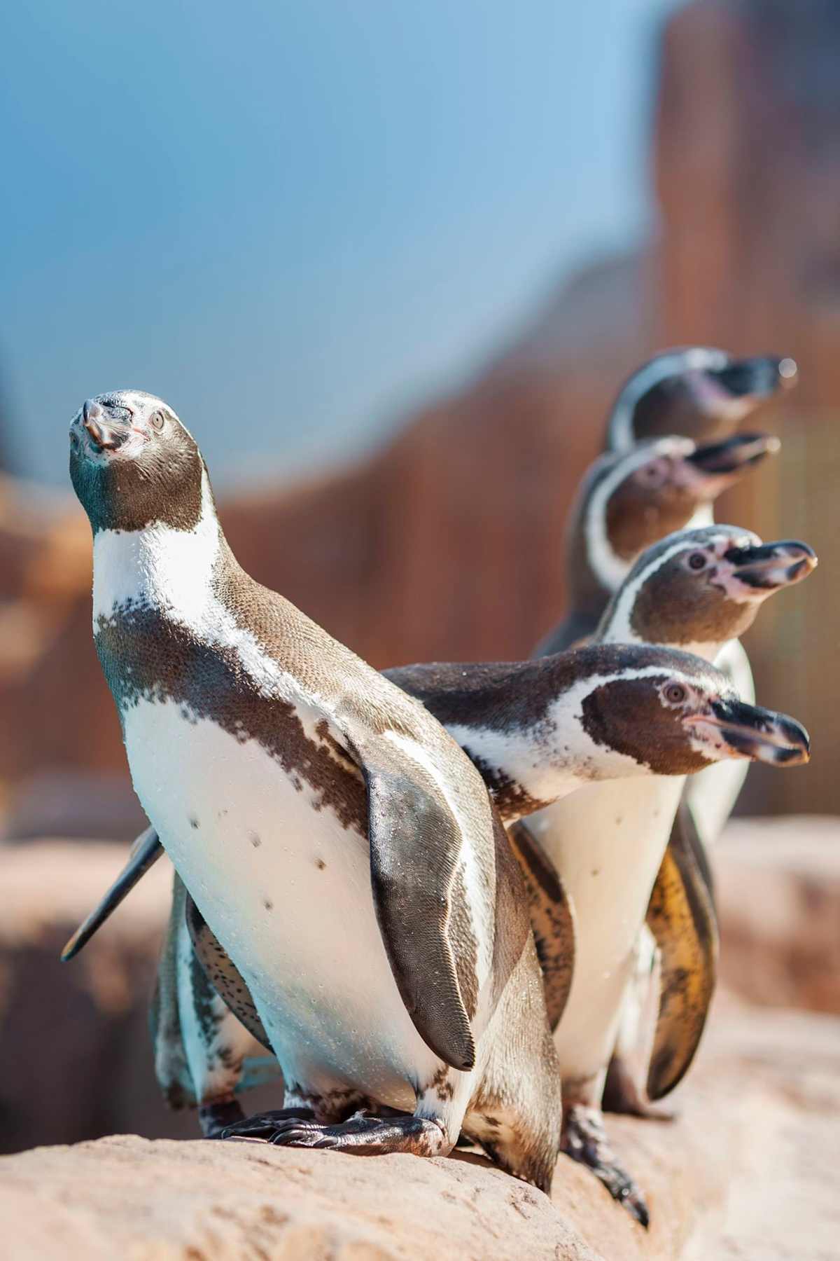 Galapagos Family Cruise: Wildlife & Water Adventures photo 6