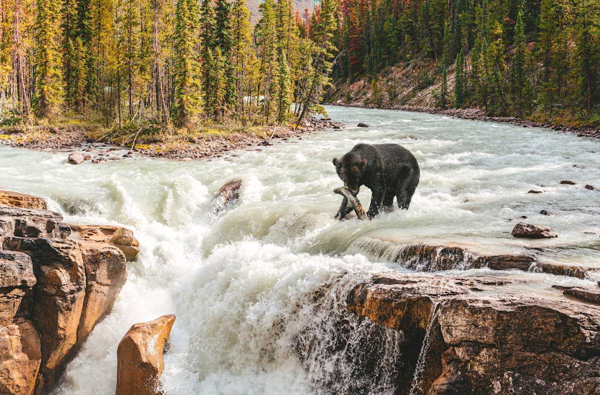 Canadian Rockies Signature & Lakeside Luxury photo 4