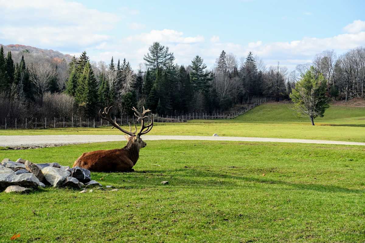 Active Eastern Canada: Family Road Trip photo 3