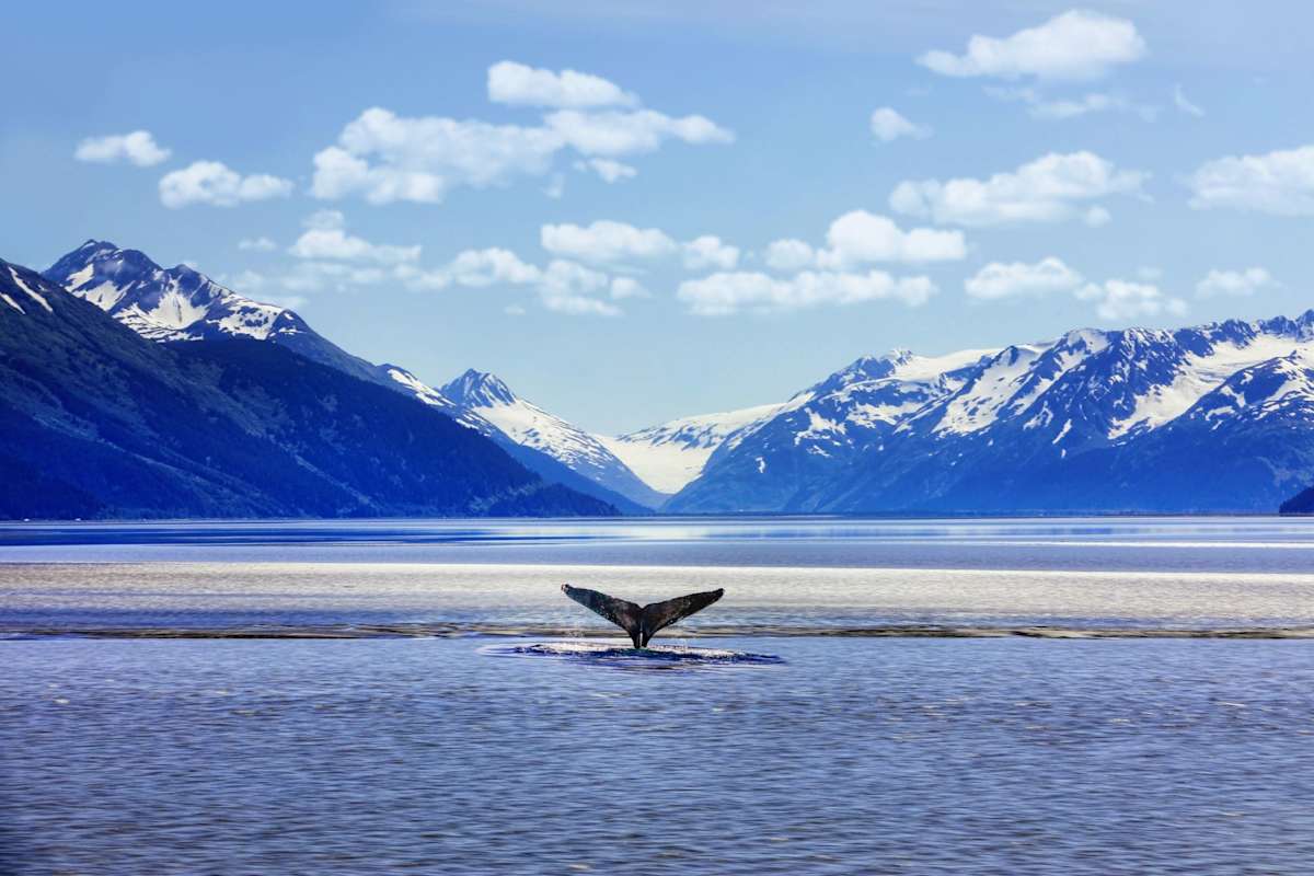 Vancouver Highlights & Sailing Alaska's Inside Passage photo 4