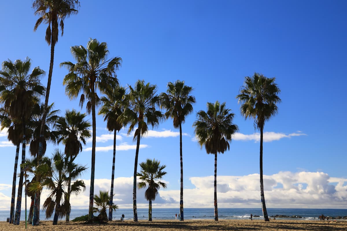 California Active Adventure: L.A. To Santa Barbara photo 3