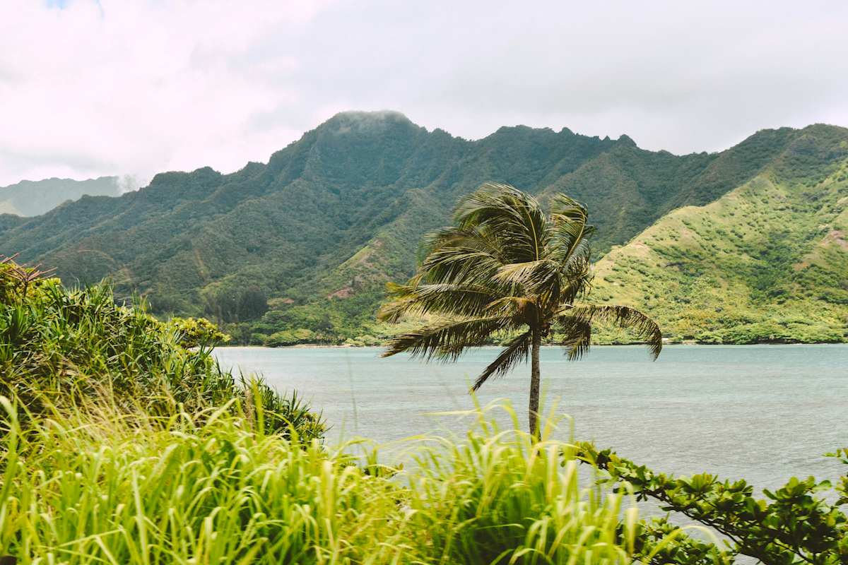 Isles of Aloha photo 6