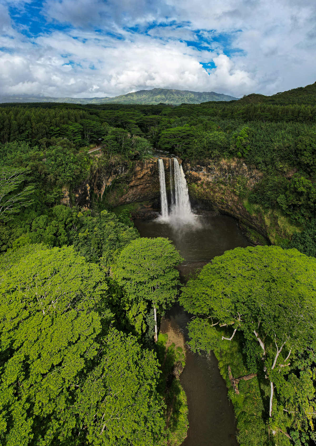 Isles of Aloha photo 7