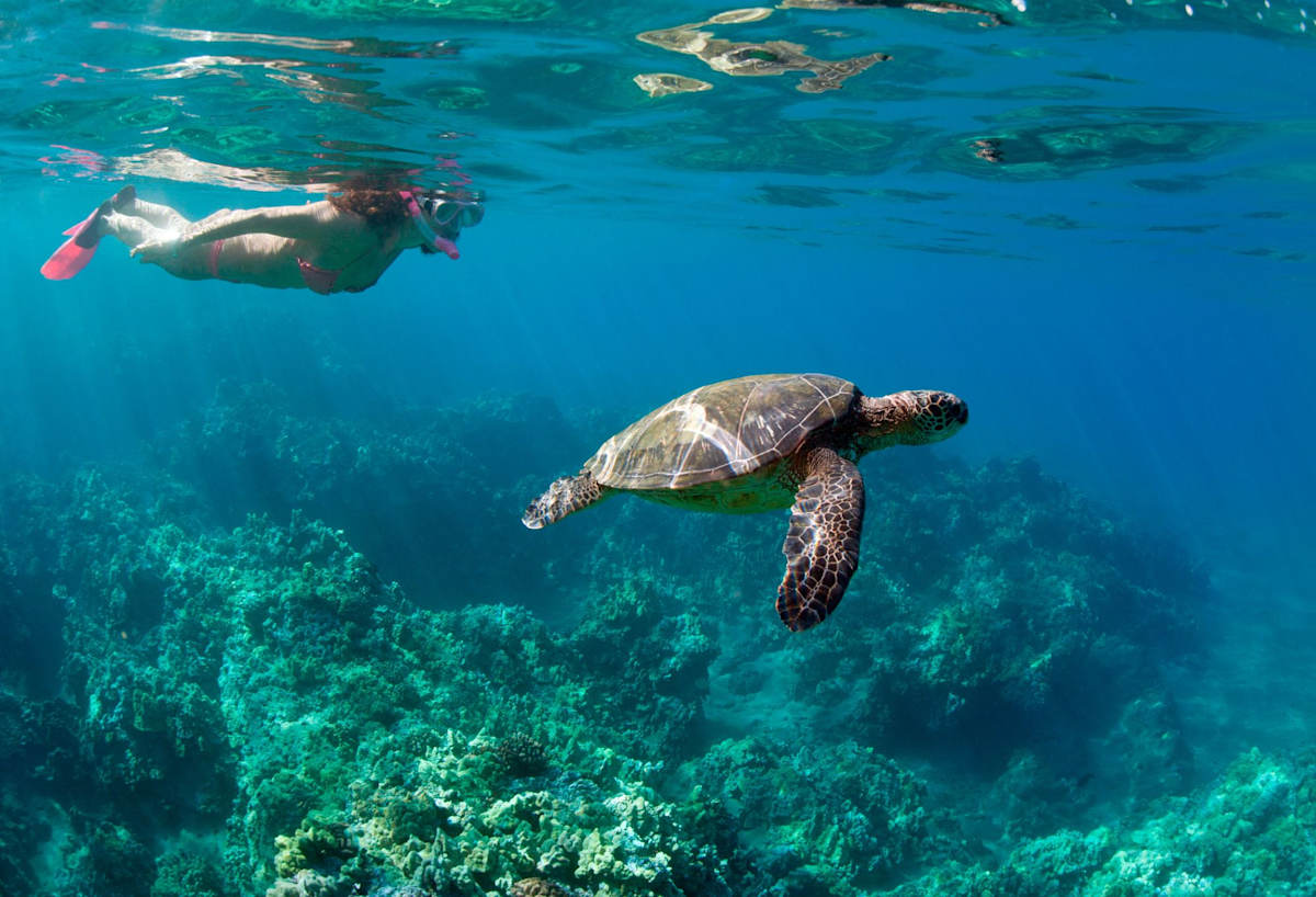Maui and Big Island Family Vacation photo 7
