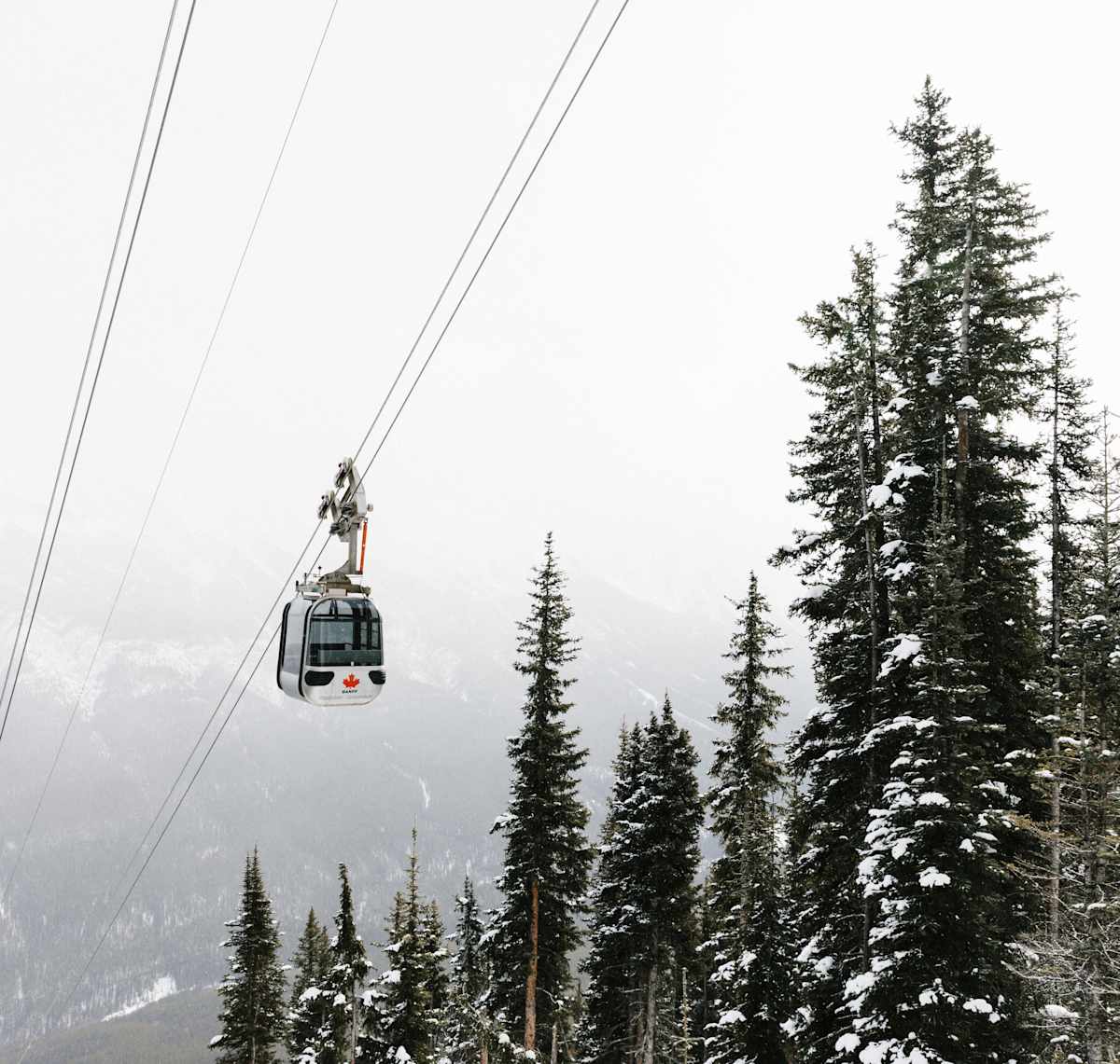 Canadian Rockies Winter Adventure photo 2