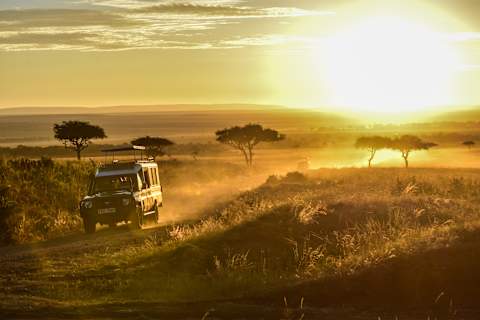 Kenya and Tanzania Game Tracker  photo 2