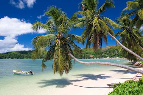 Seychelles Island Getaway photo 3