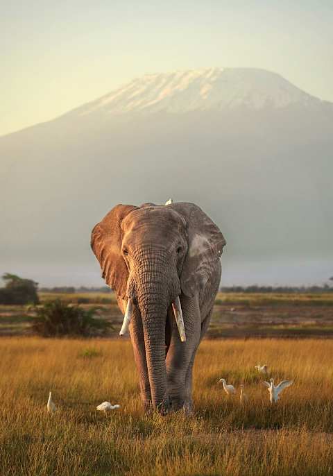 Exclusive Kenya by Private Air  photo 3