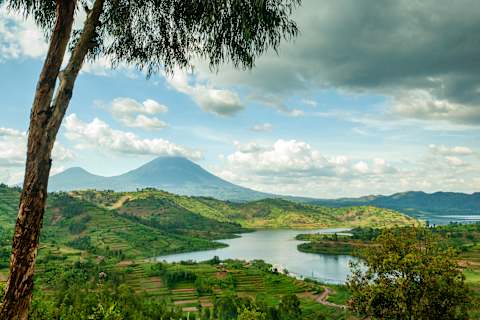 Wild Wonders of East Africa: Kenya, Tanzania & Rwanda photo 1