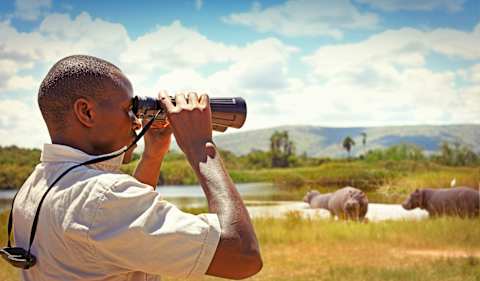 Essential Rwanda: Gorilla Encounters photo 2