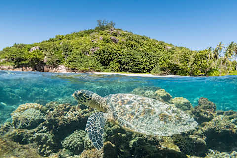 Seychelles Island Getaway photo 4