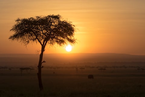 Tanzania’s Great Migration Safari photo 4