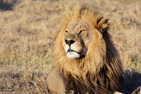 Off-the-Beaten-Path Tanzania & Mafia Island photo 1