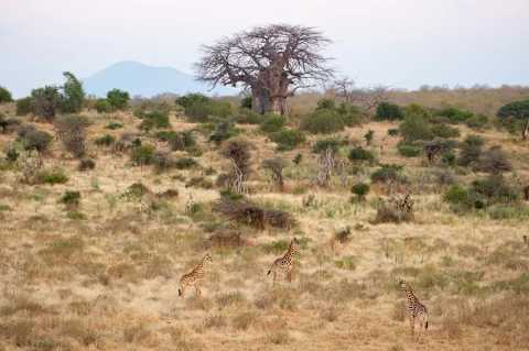 Off-the-Beaten-Path Tanzania & Mafia Island photo 3