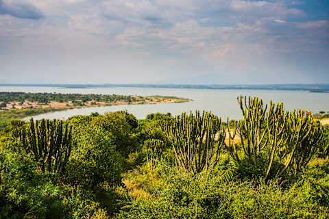 Uganda Highlights  photo 3