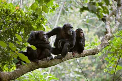 Best of Rwanda in Style photo 3