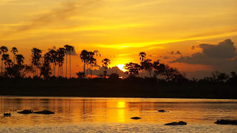 The Best of Botswana & Victoria Falls photo 4