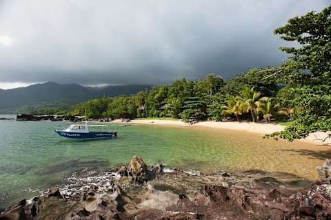 Rainforests of Madagascar Masoala & Andasibe National Park photo 1