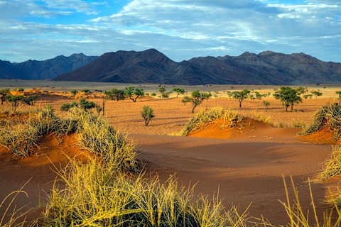 Namibia Highlights photo 4