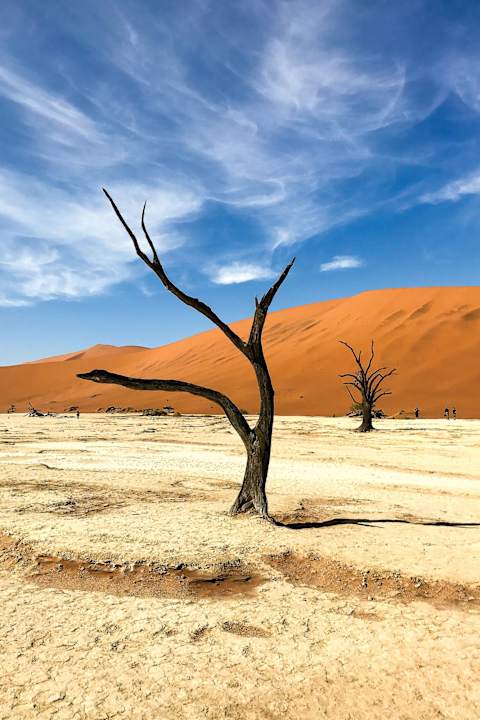 Best of Namibia photo 2