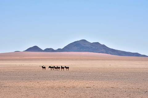 Namibia Highlights photo 3