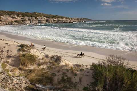 Big 5 of Land & Sea photo 3