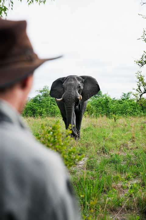 Cape, Kruger and Vic Falls photo 1