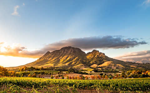 South Africa Culture & Cuisine photo 4