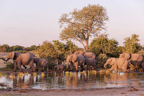South Africa to Zimbabwe: Victoria Falls & Safari photo 4