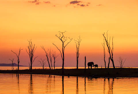 Northern Zimbabwe: Remote Safaris & Epic Sunsets photo 1