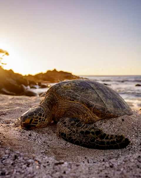 Cape Verde Highlights  photo 2