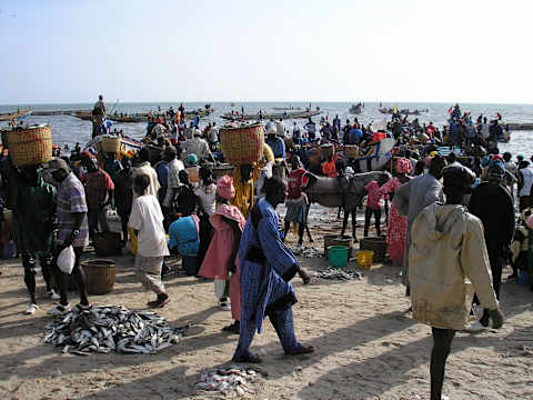 Senegal Extension photo 4