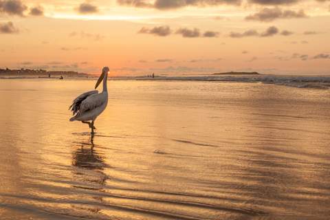 Senegal City & Beach photo 1