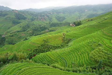 National Geographic Award Winning China Signature photo 1