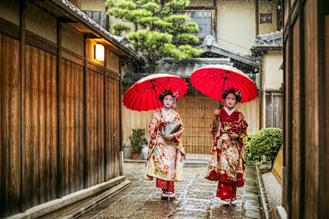 Essential Japan Discovery photo 3