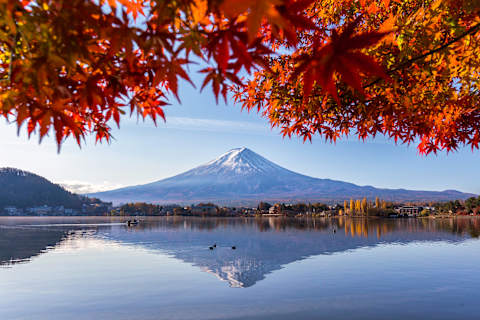 Japan's Fall Colors & Cultural Highlights photo 3